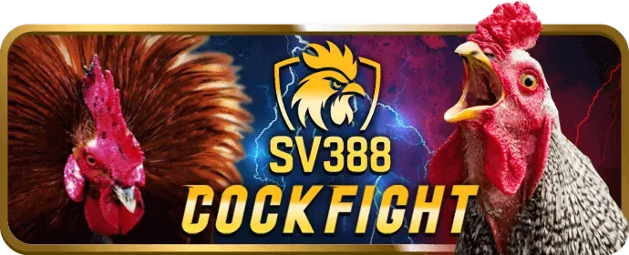 Hỗ trợ khách hàng Win666